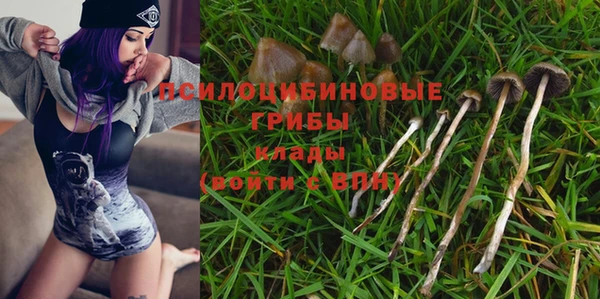 дурь Алзамай