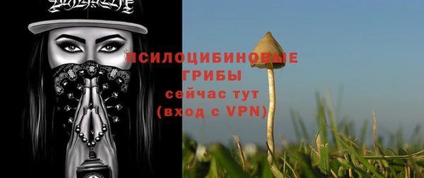 дживик Алексеевка