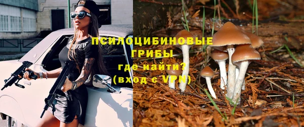 дживик Алексеевка