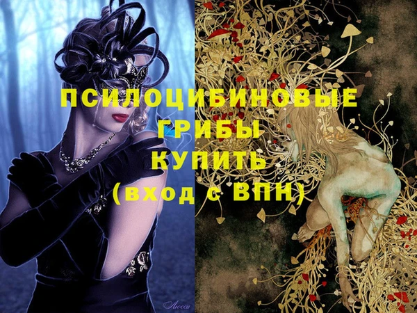 ПСИЛОЦИБИНОВЫЕ ГРИБЫ Ростов