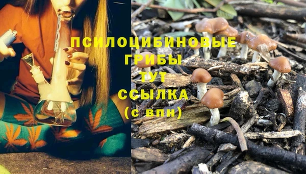 дживик Алексеевка