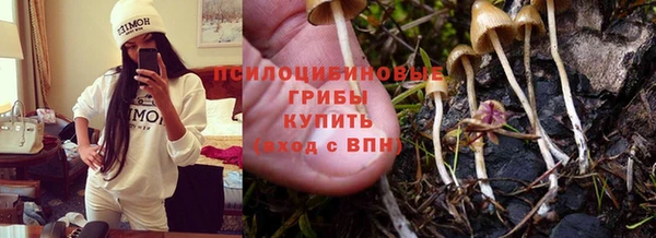 дживик Алексеевка