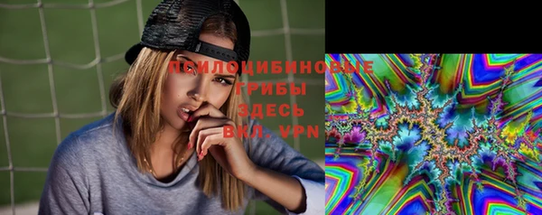 дживик Алексеевка