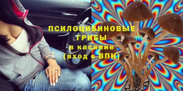 дживик Алексеевка